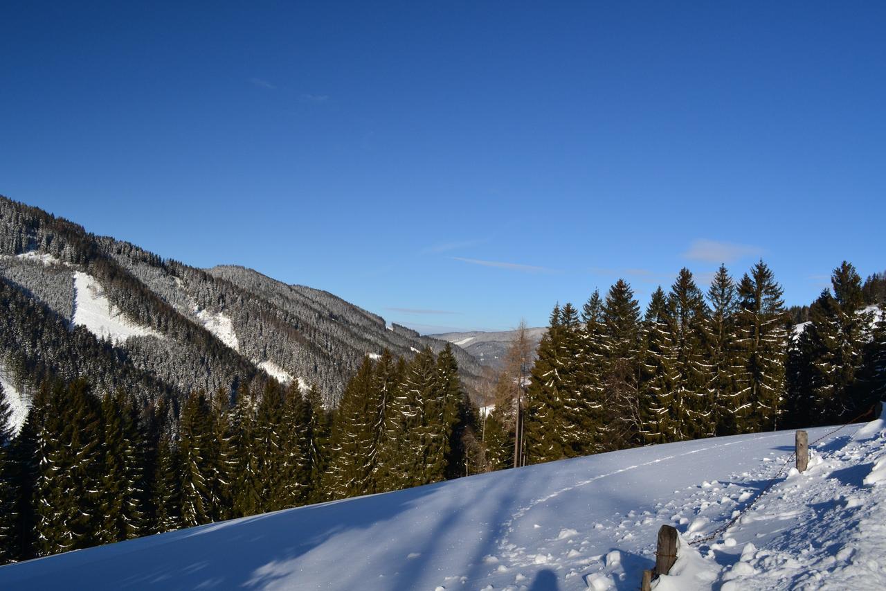 Gasthof Oberer Gesslbauer Stanz Im Murztal المظهر الخارجي الصورة