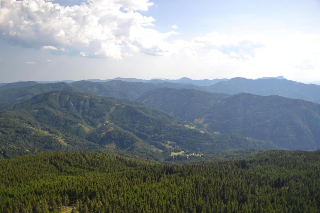 Gasthof Oberer Gesslbauer Stanz Im Murztal المظهر الخارجي الصورة