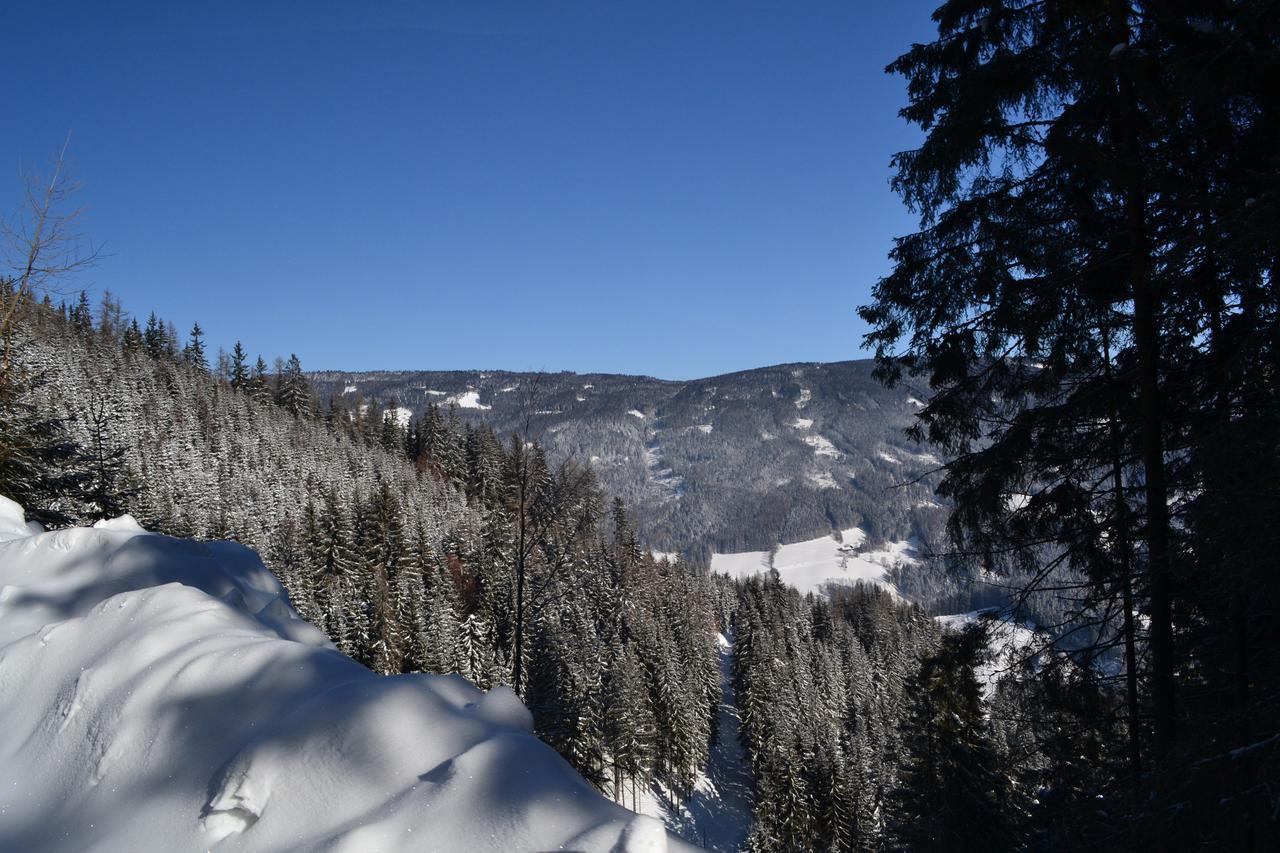 Gasthof Oberer Gesslbauer Stanz Im Murztal المظهر الخارجي الصورة